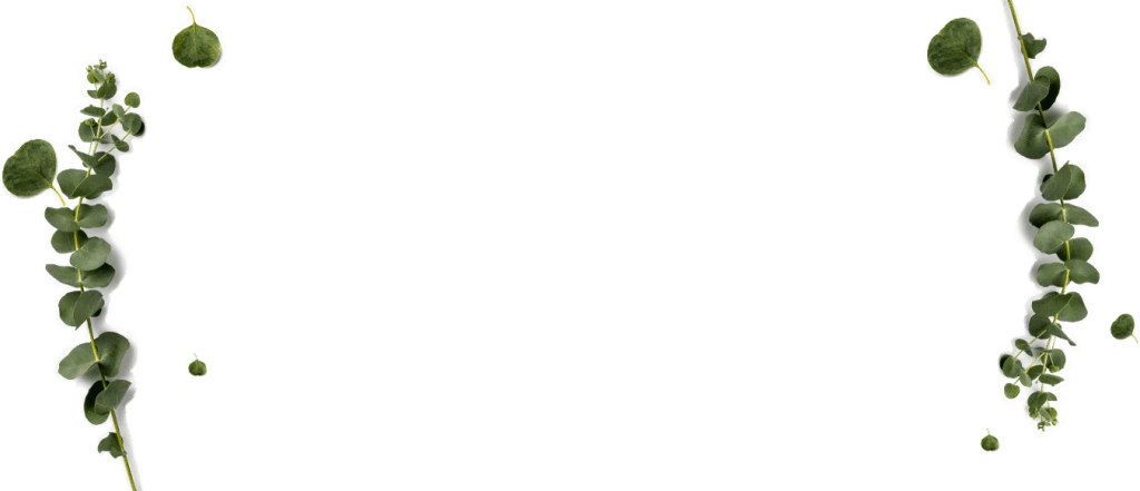 نگارین طیف آوران